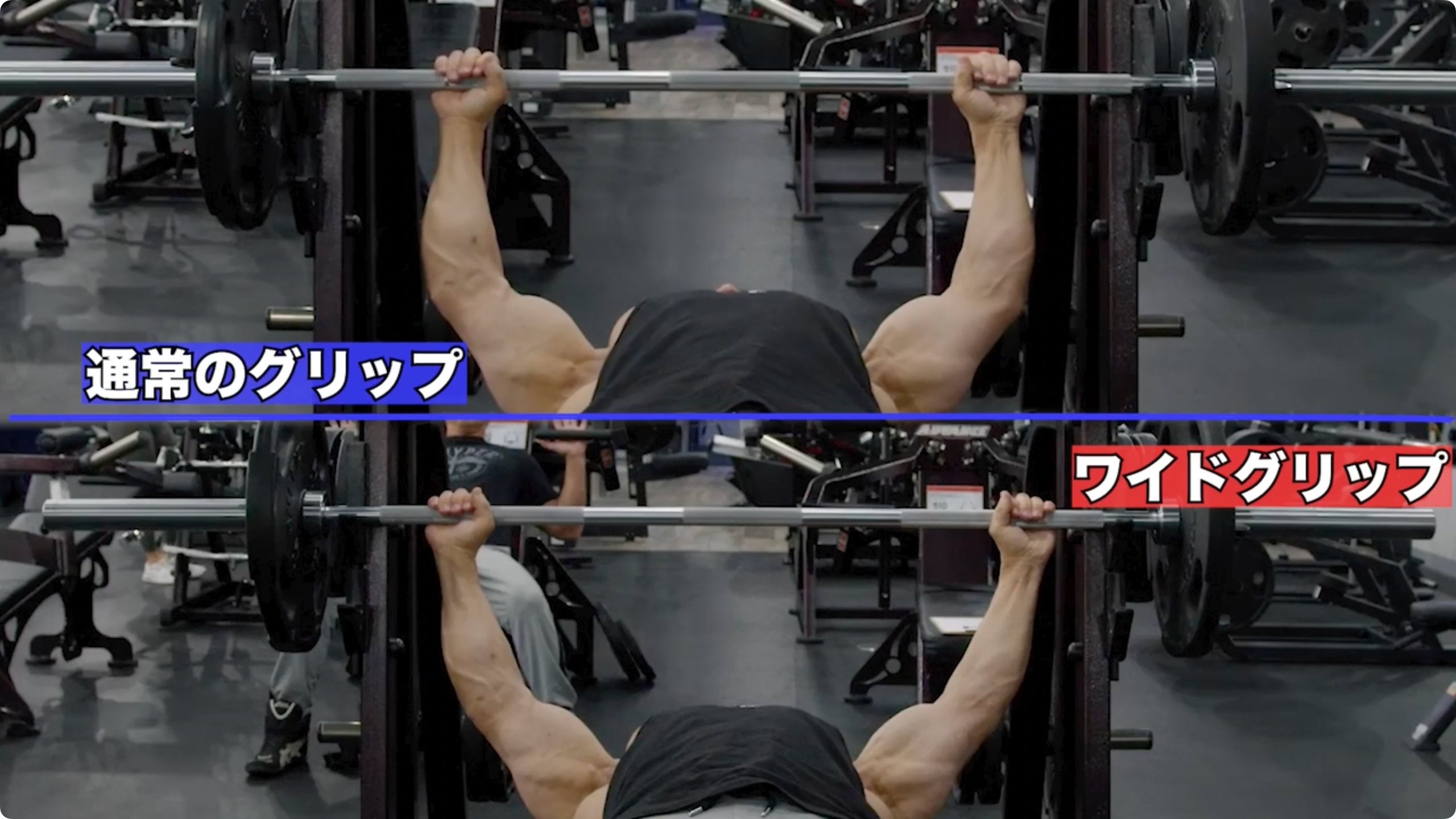 【動画講座】筋トレ徹底解説シリーズ 大胸筋トレーニング51種目