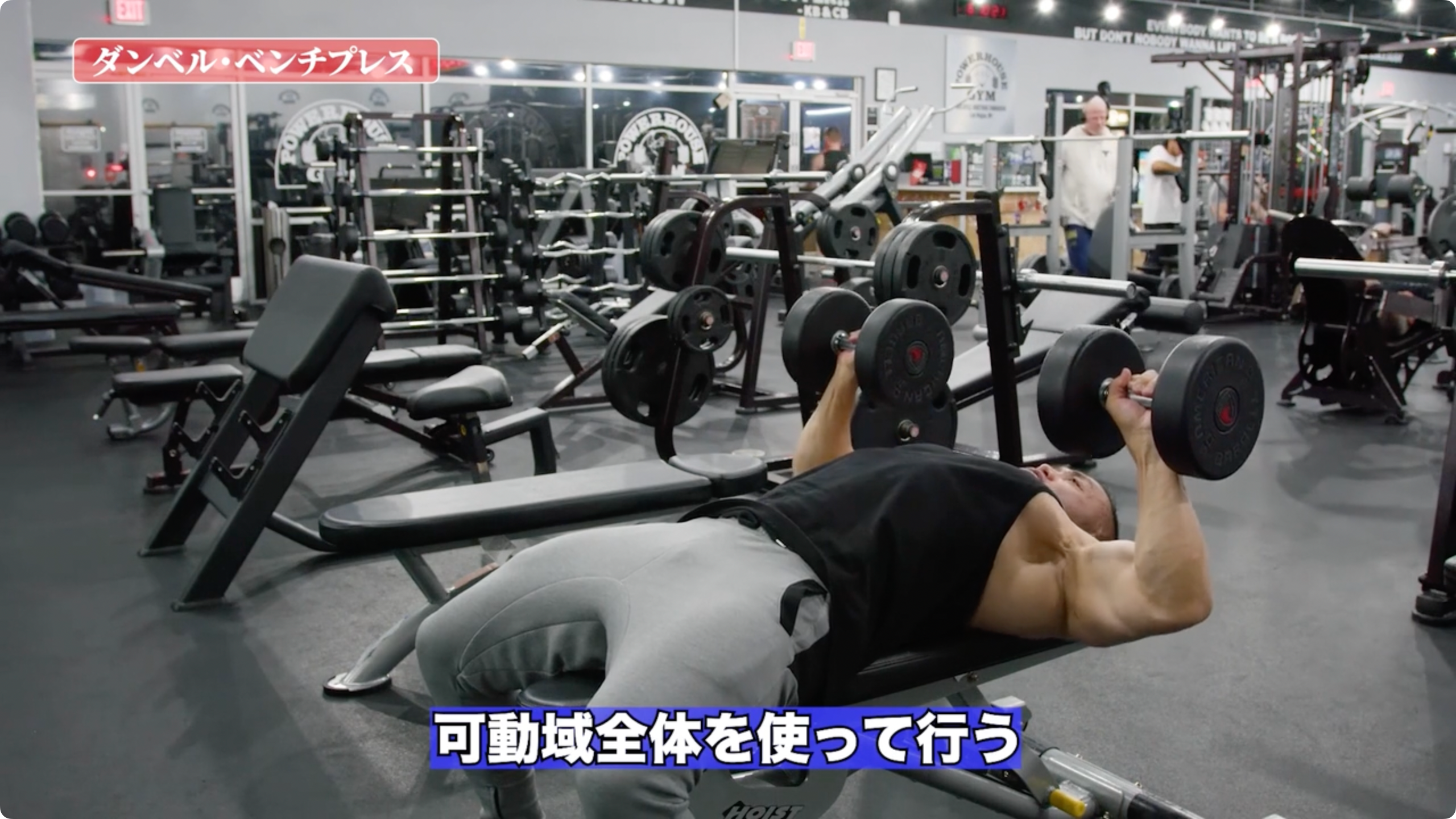 【動画講座】筋トレ徹底解説シリーズ 大胸筋トレーニング51種目