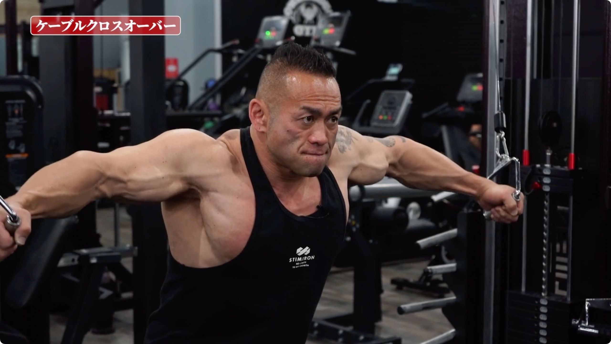 【動画講座】筋トレ徹底解説シリーズ 大胸筋トレーニング51種目